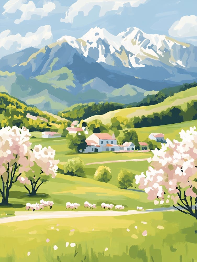 Cherry Blossoms 17