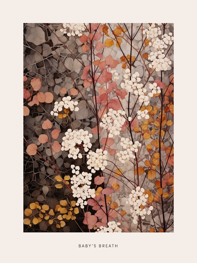 Flower Illustration Babys Breath 3 Poster