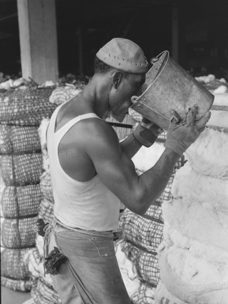 Worker At Cotton Compress Taking A Drink Of Water From Bucket, Houston, Texas By Russell Lee