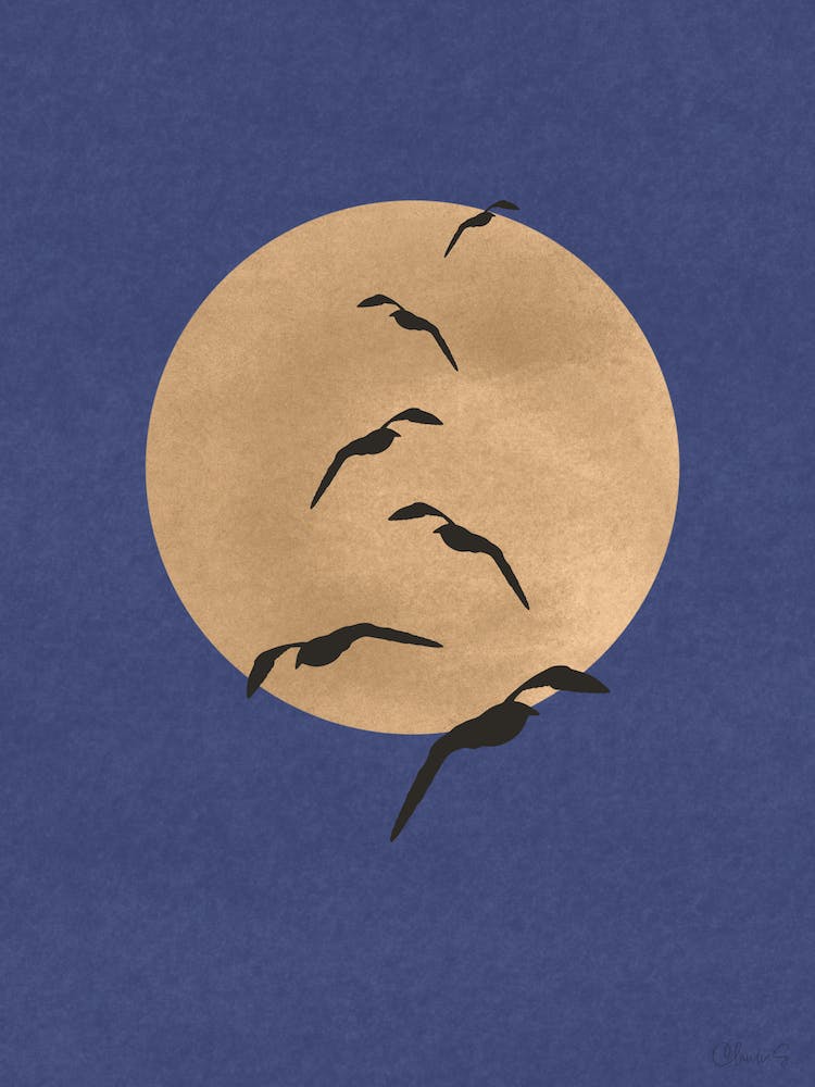 Seagulls On The Yellow Moon