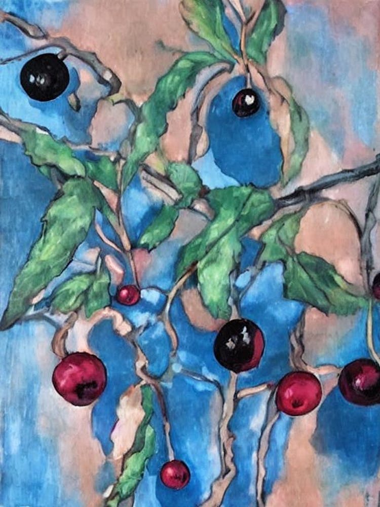 Black Currant 1 Classic Fruit