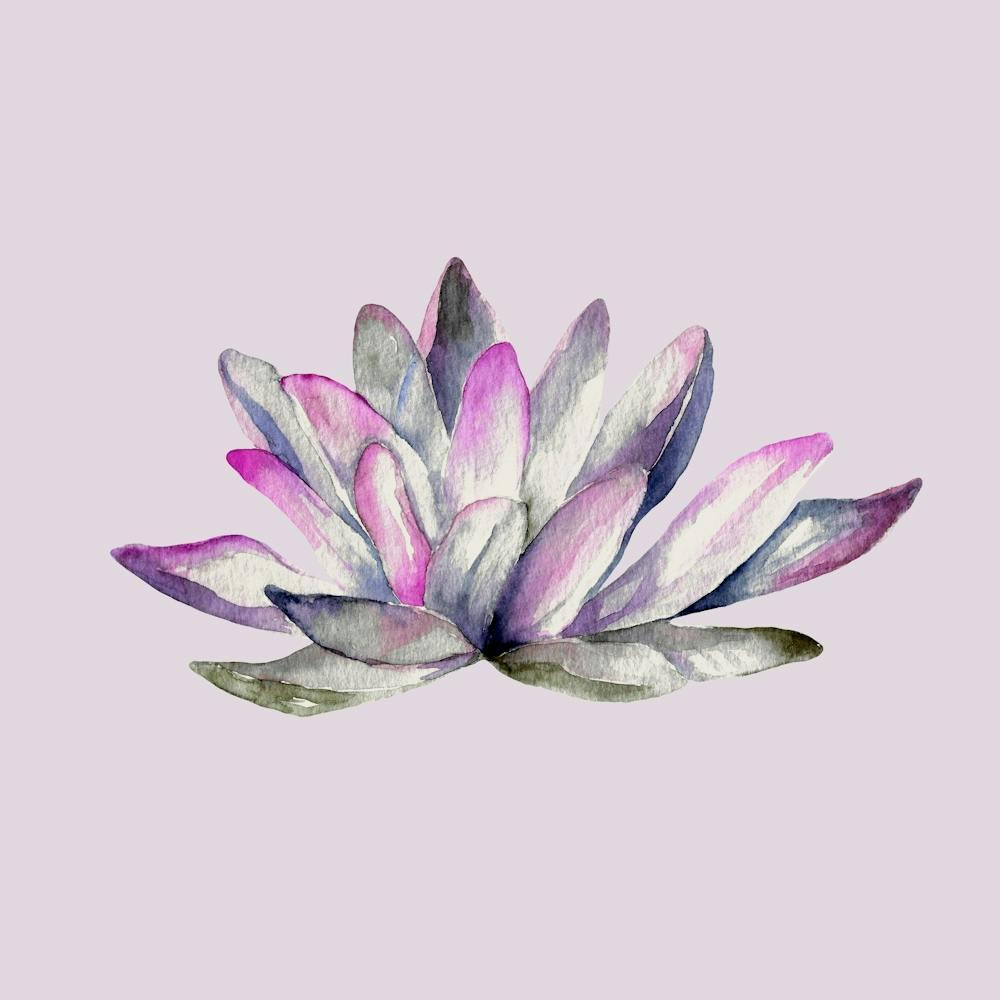 Lotus Flower