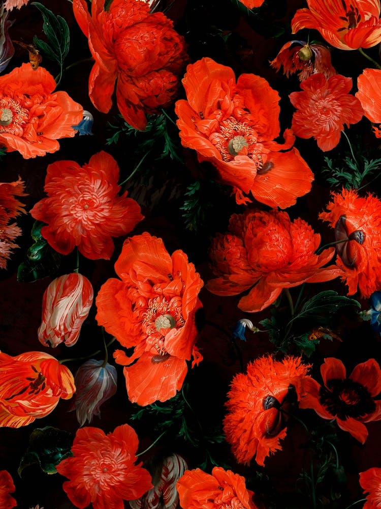 Antique Jan Davidsz De Heem Lush Poppies Flower Garden
