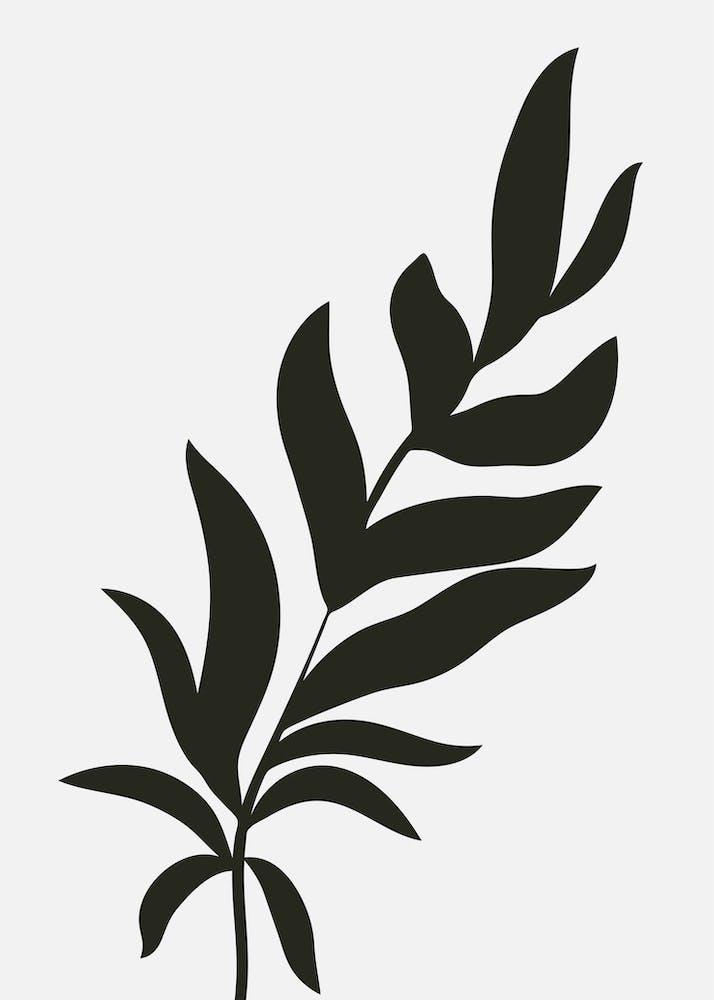 Abstract Botanical Black and Beige Art 6