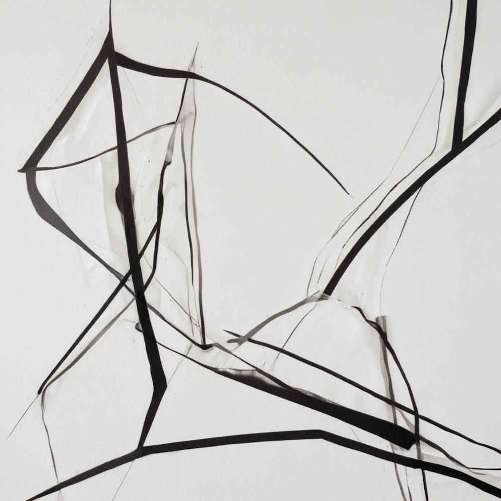'Black Lines'