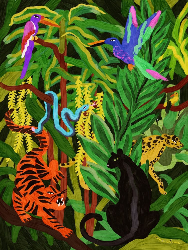 Jungle