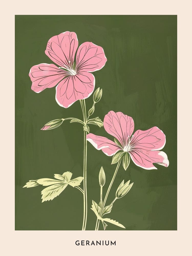Pink & Green Geranium Flower Poster