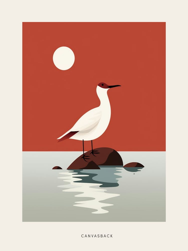 Minimalist Canvasback 1 Bird Poster