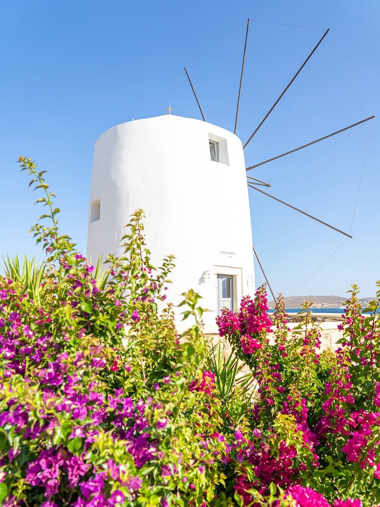 Greek Windmill In Paros