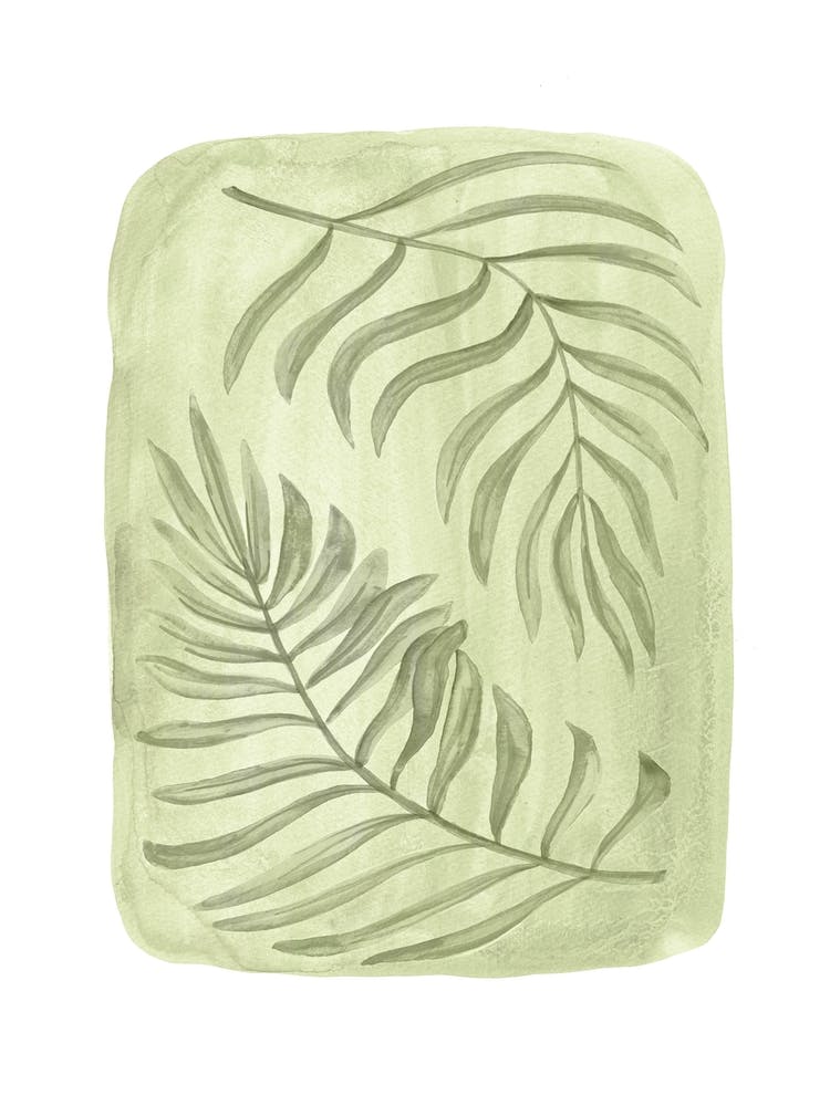 Palm Leaves
