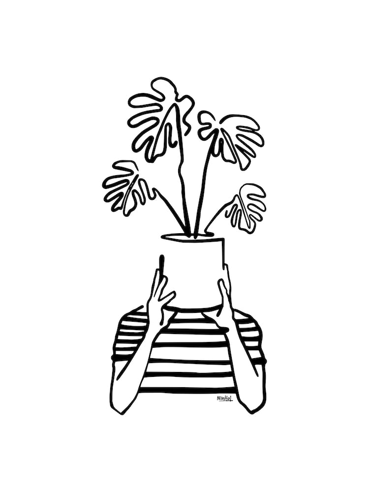 Mood Plants