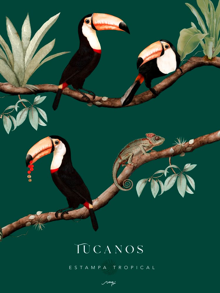 Verde Tucanos 1