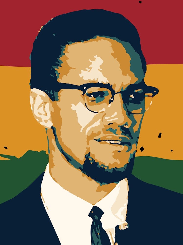Malcolm X in Pop Art Human Rights Activist