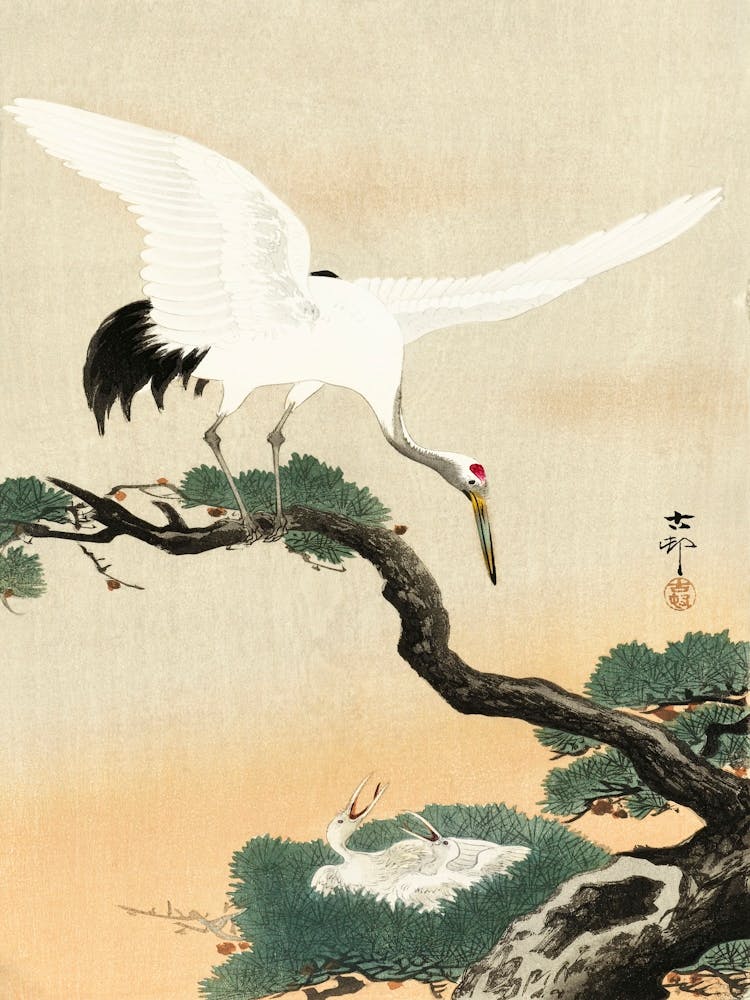 Japanese Crane Bird On Branch Of Pine (1900 1930), Ohara Koson