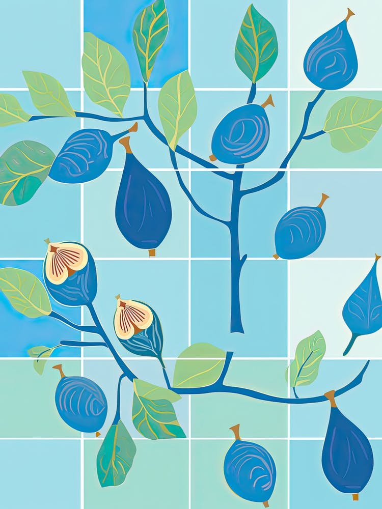 Figs Illustration 5