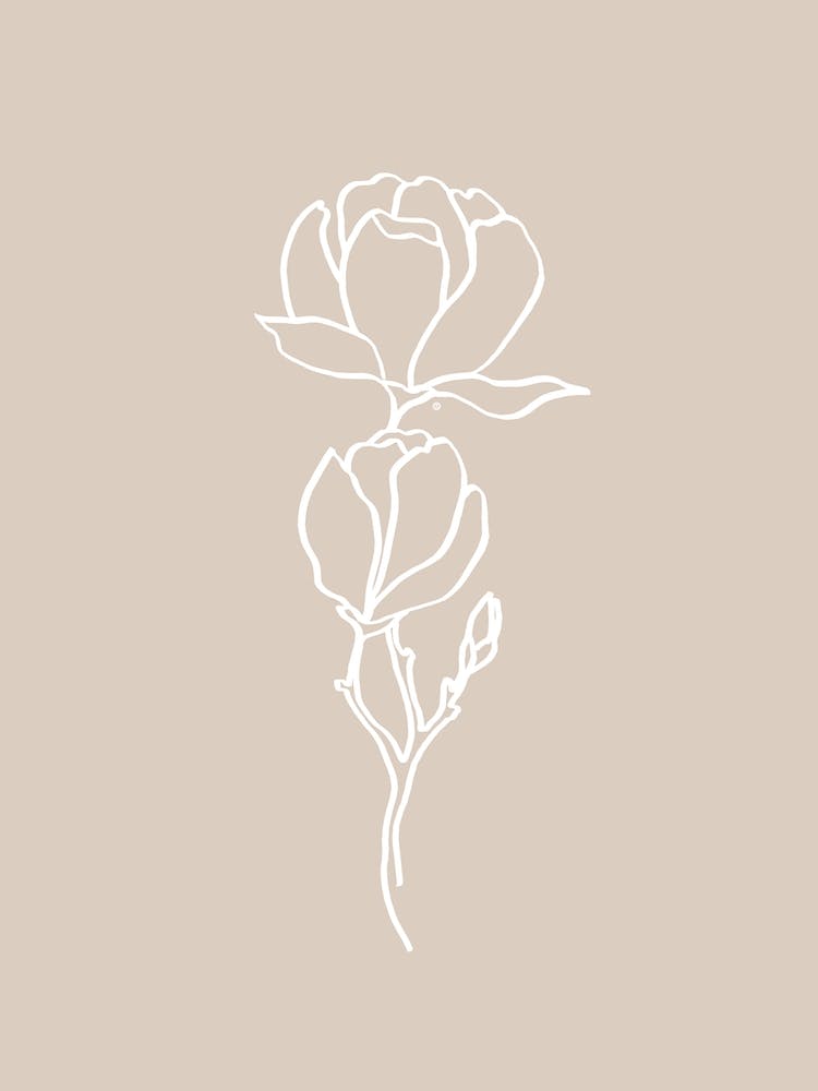 Magnolia Line Art No 375