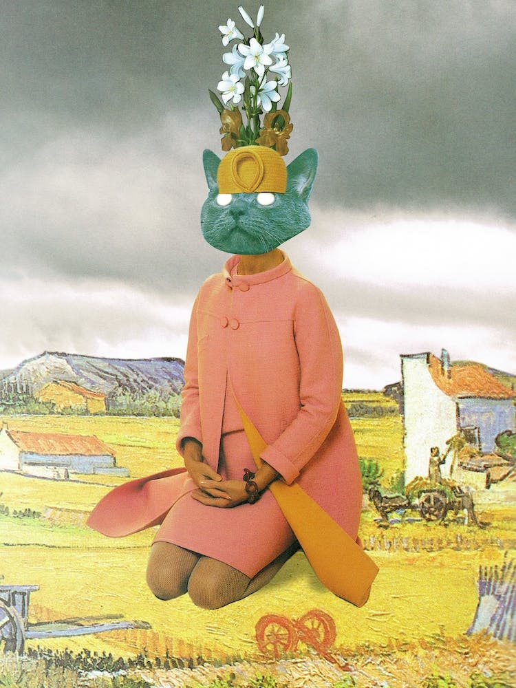 The Seven Lives Of A Cat, Marianne