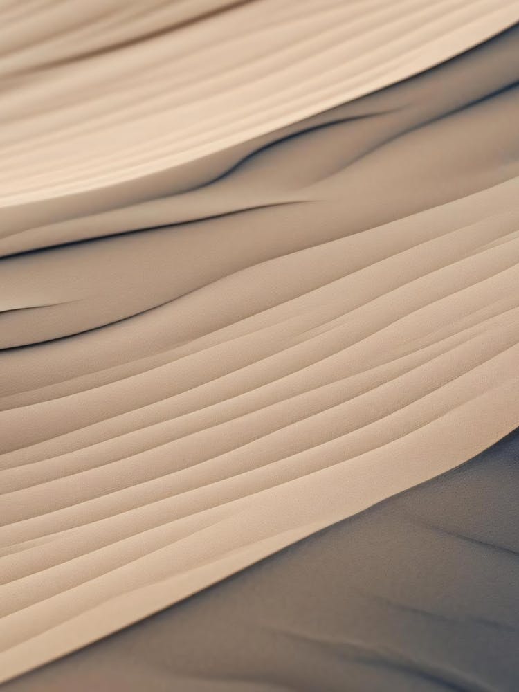 Sand Dunes In The Desert 1