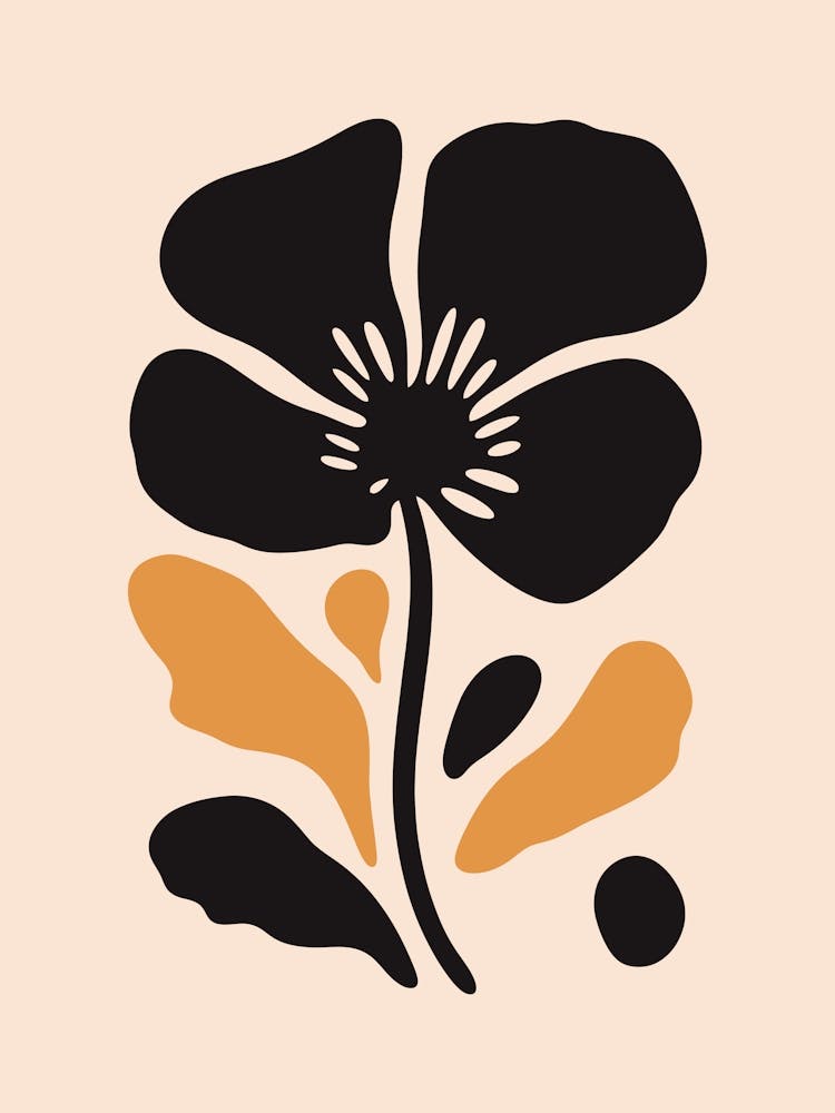 Schwarz-orange Blume 1