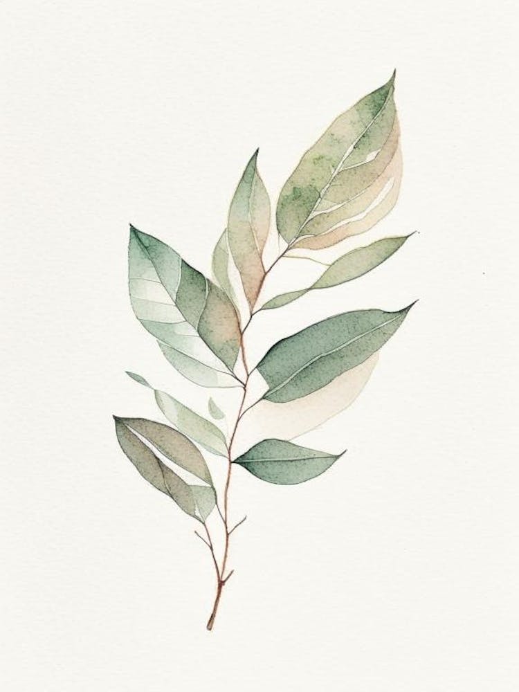 Bärentraubenblatt Minimalistische Aquarellmalerei