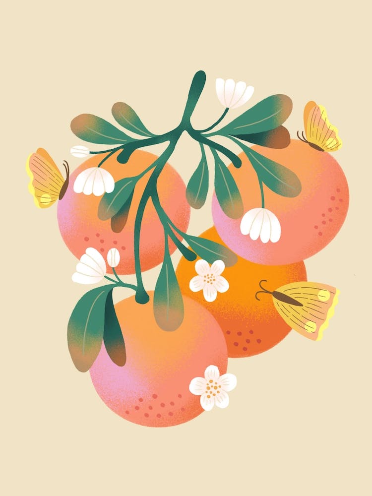 Pink Grapefruit