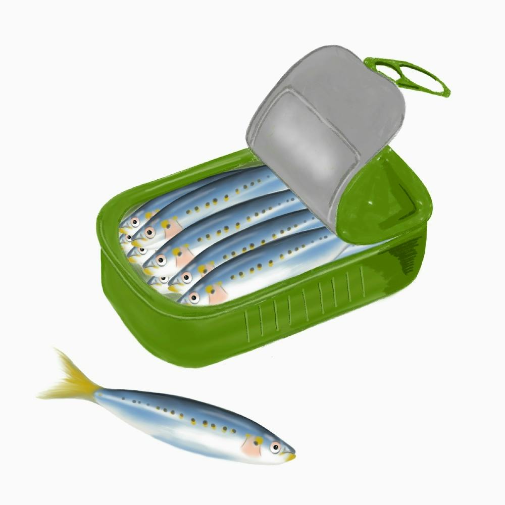 Sardines
