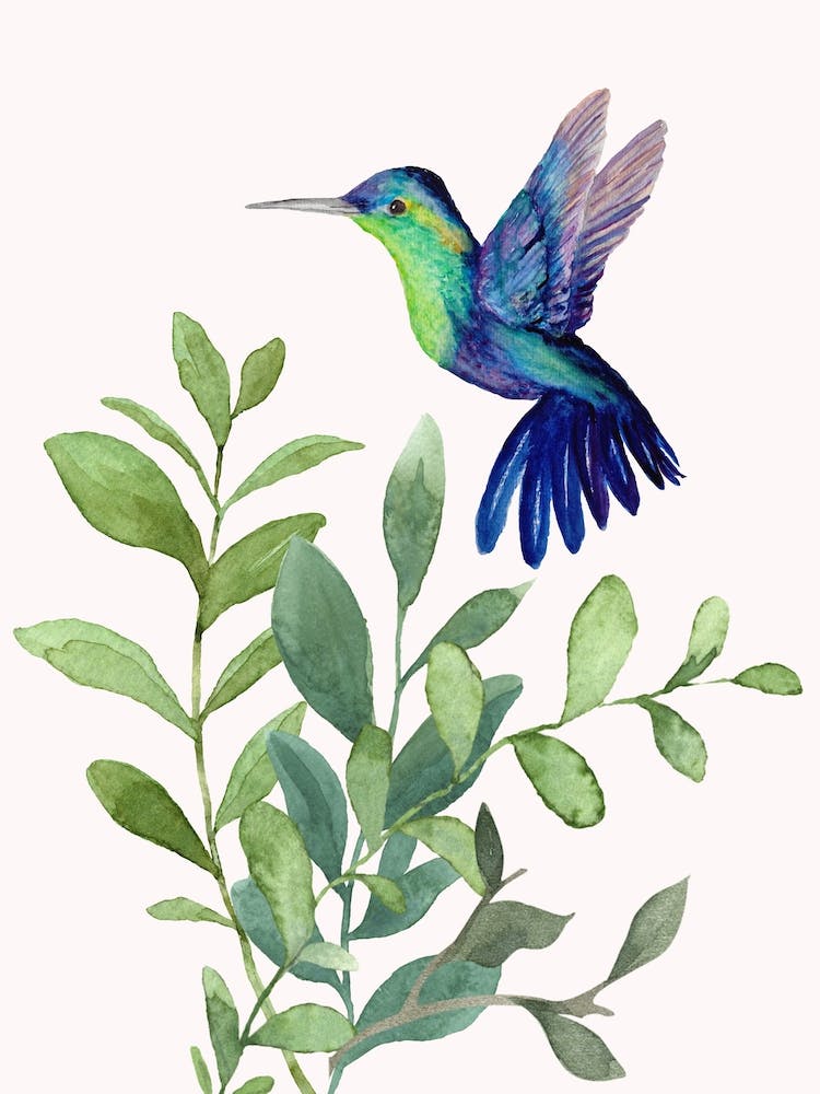 Hummingbird Watercolor Painting
