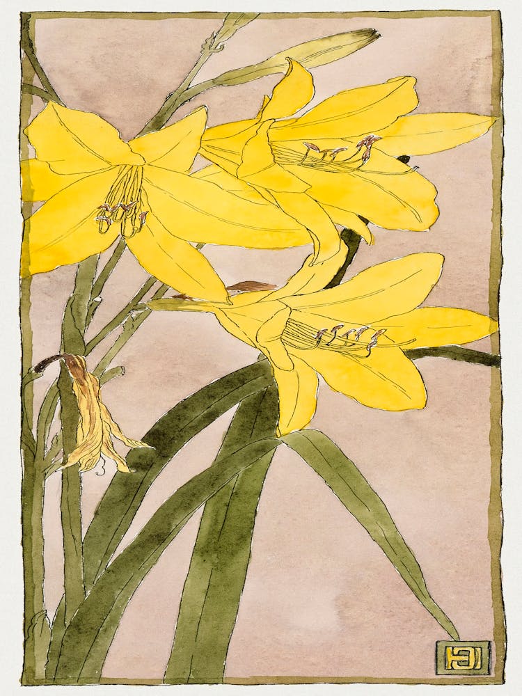 Yellow Daylily (1915), Hannah Borger Overbeck