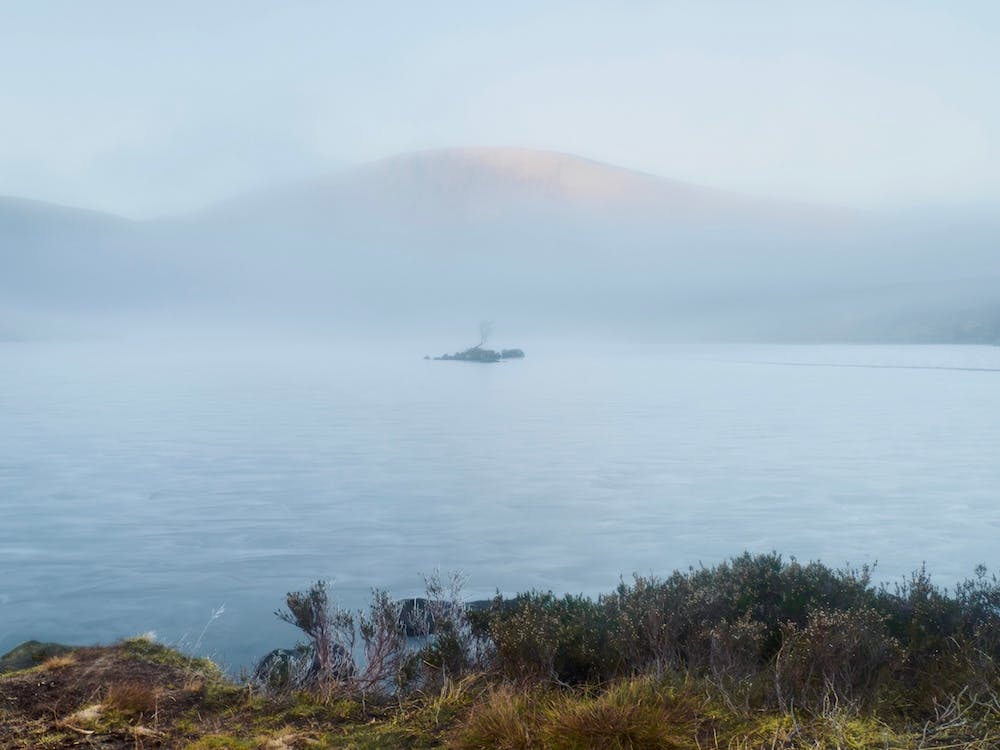 Foggy Morning 1