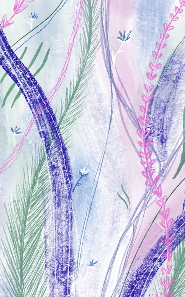 Fairytale Floral Line