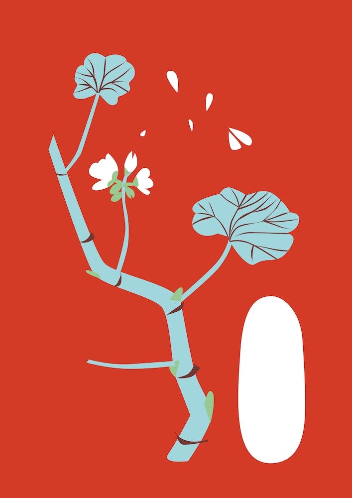 Rouge Géranium