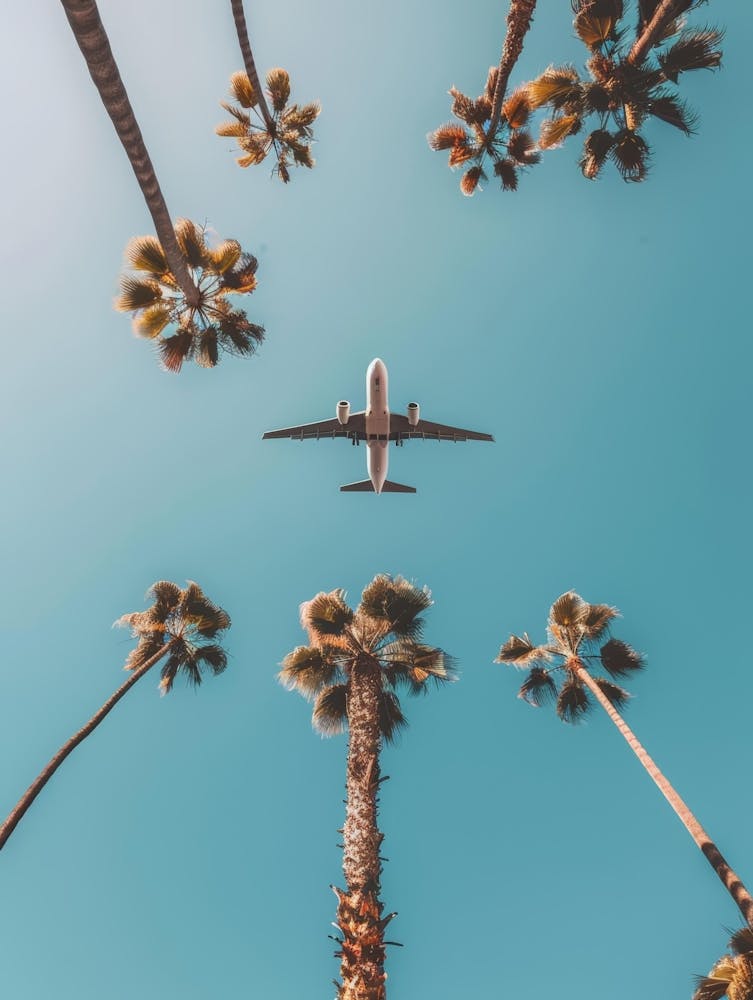 Airplane Flying Over Palm Trees 8