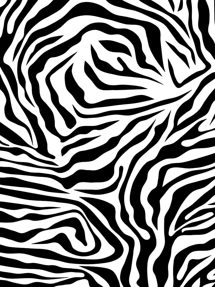 Zebra Stripes Black And White