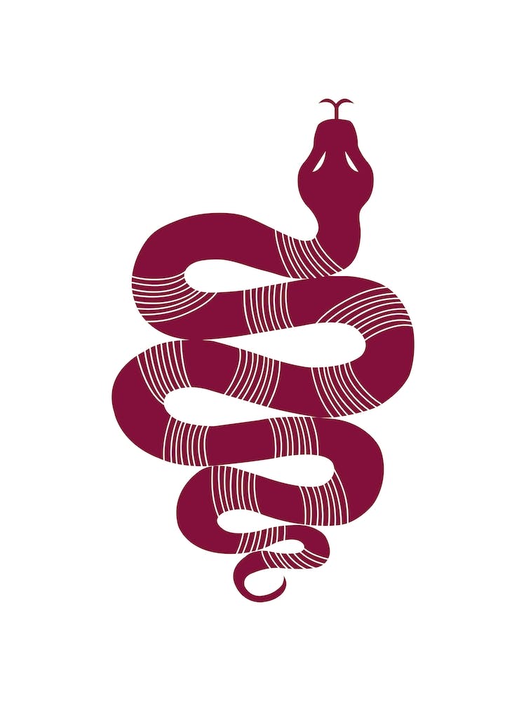 Large Snake Stripes Burgundy