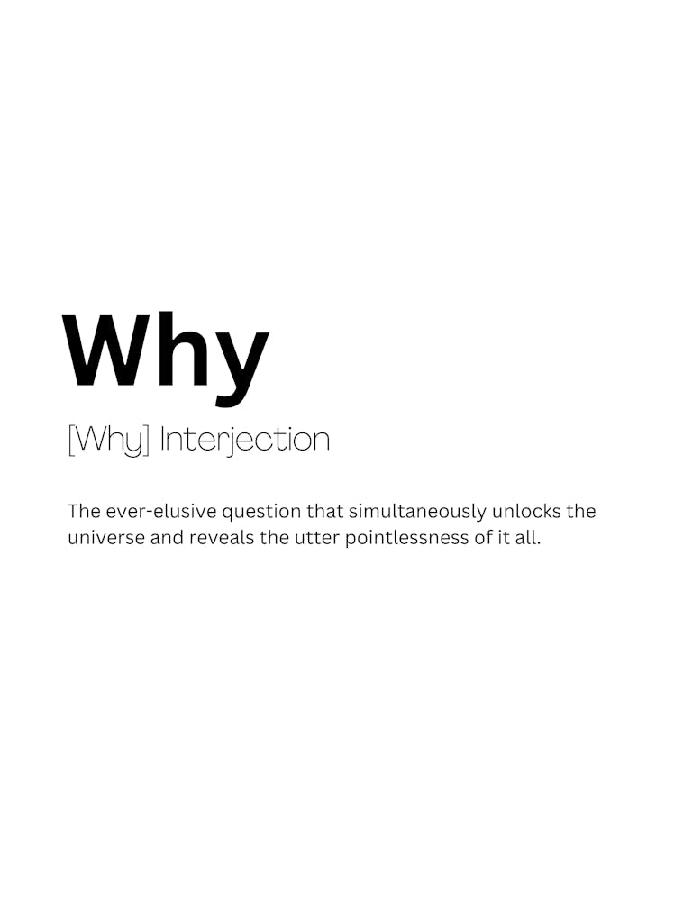 Why Definition Meaning