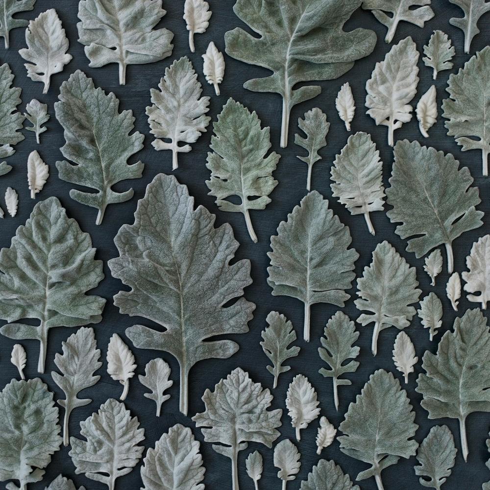 Muted Leaves On Black Square