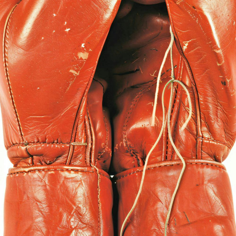 Boxing Gloves 1