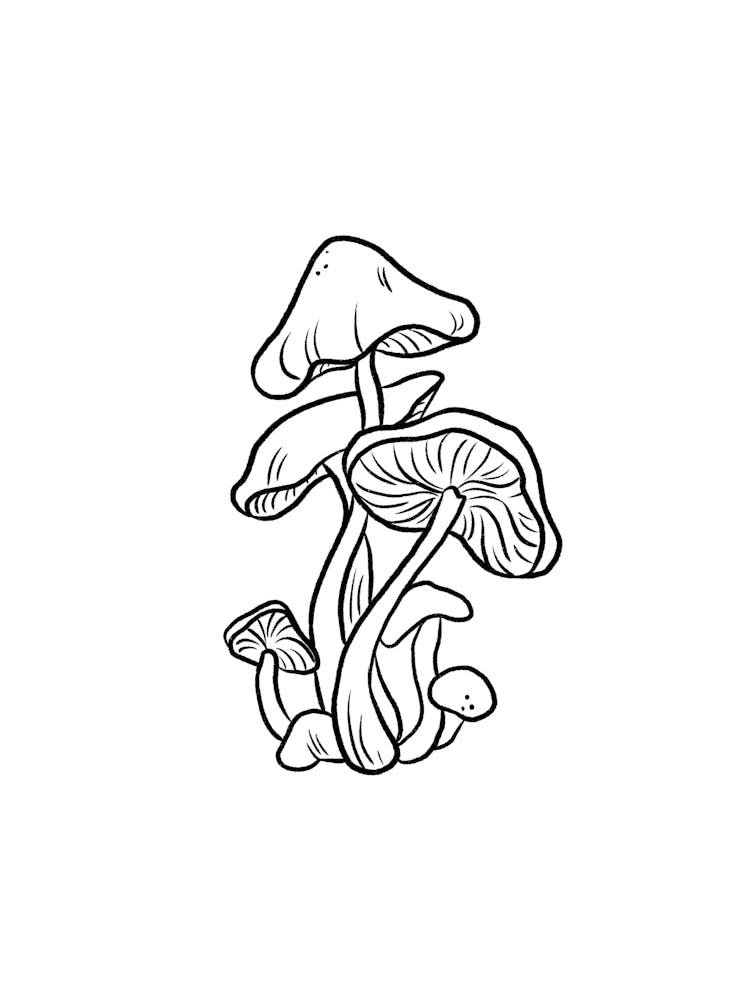 Mushroom Illustration