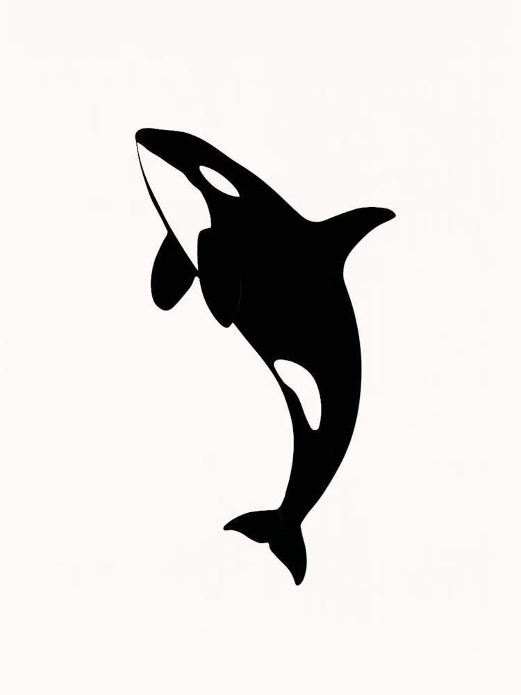 Orca Whale