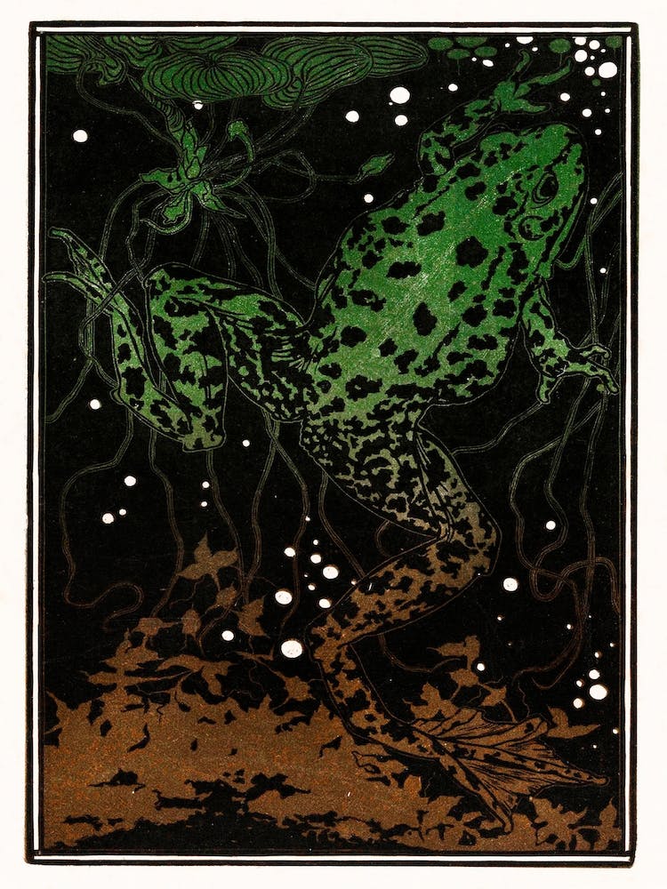 Swimming Frog, Julie De Graag