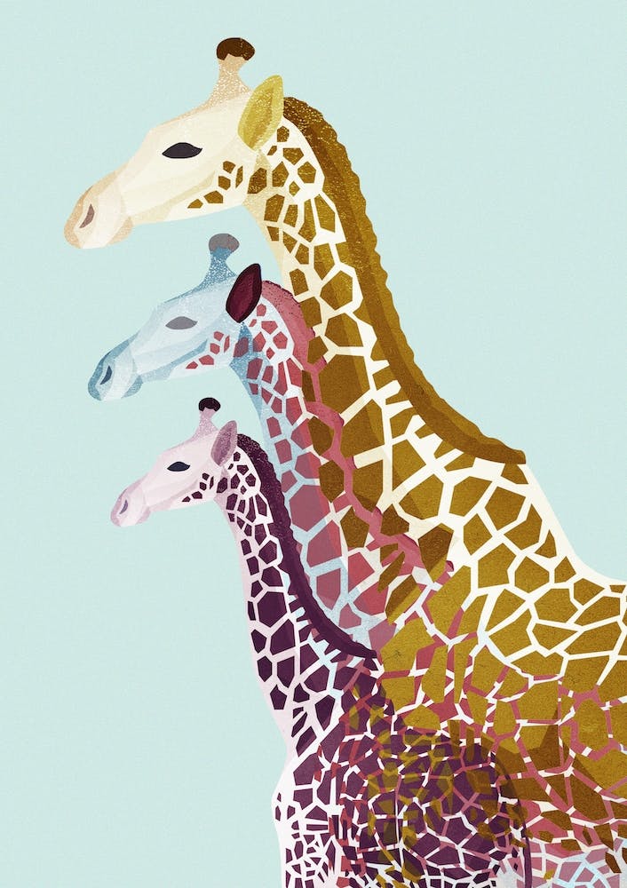 Giraffes in Mint