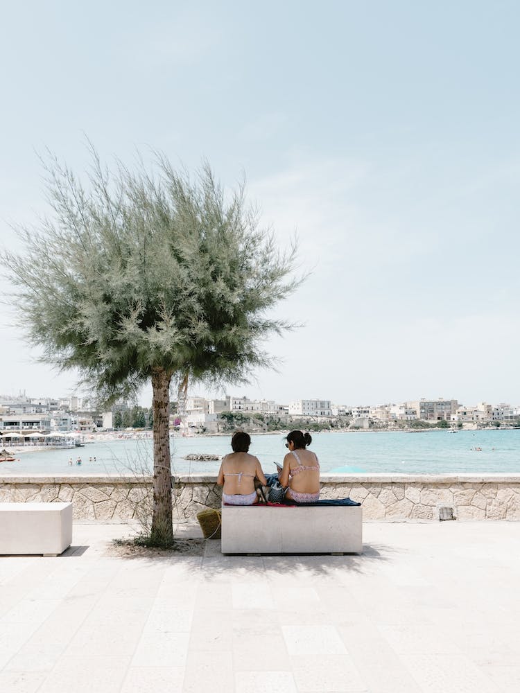 Two People Sitting On A Bench At The Coast