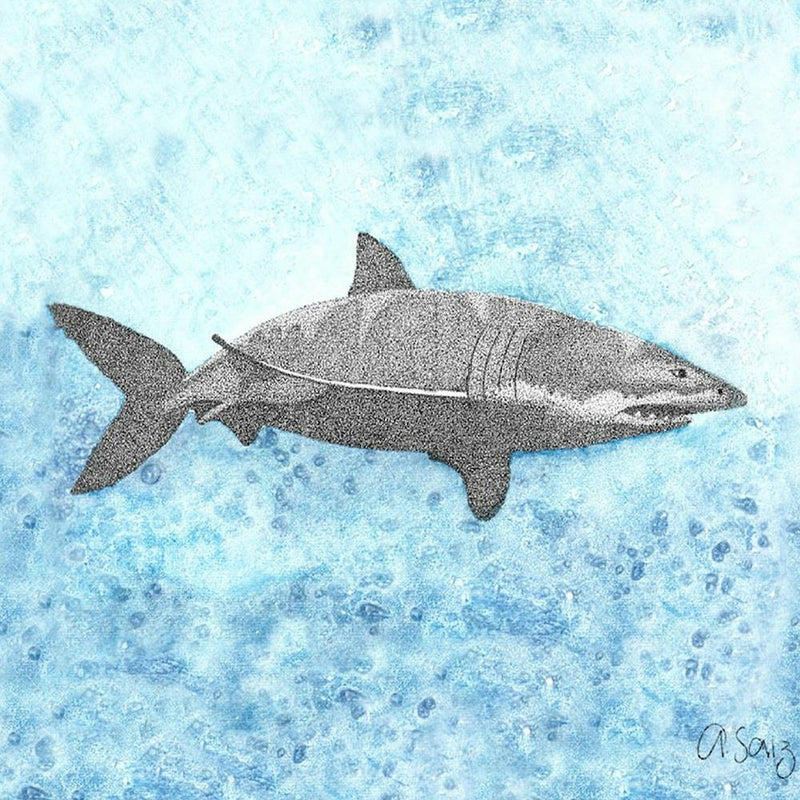 Shark. 1