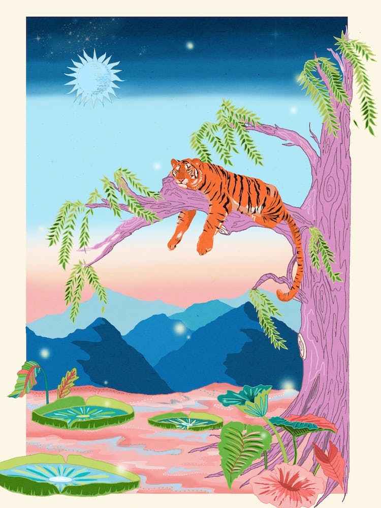 The Sleepy Tiger