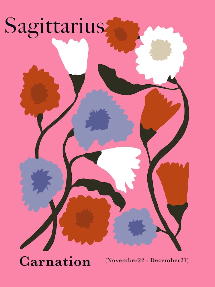 Sagitlarius Carnation