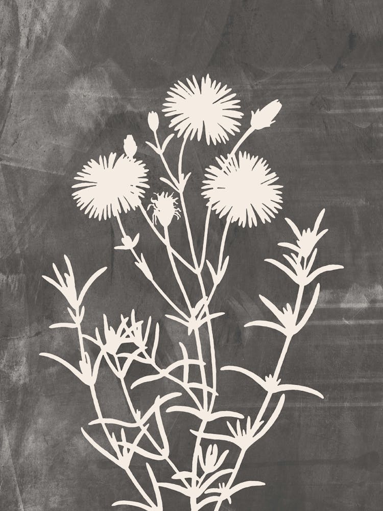Wildflowers In Gray, Minimalist Botanical 1