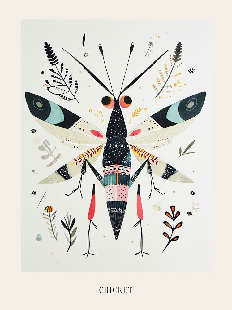 Colourful Insect Illustration Cricket 10 Poster