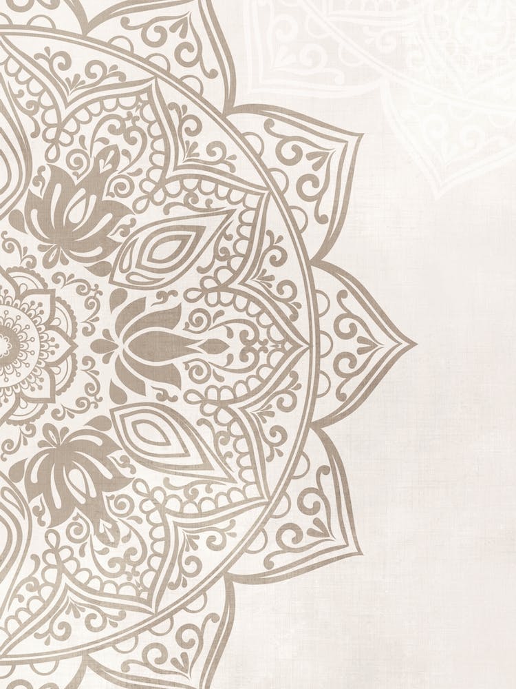 Mandala No 355 B