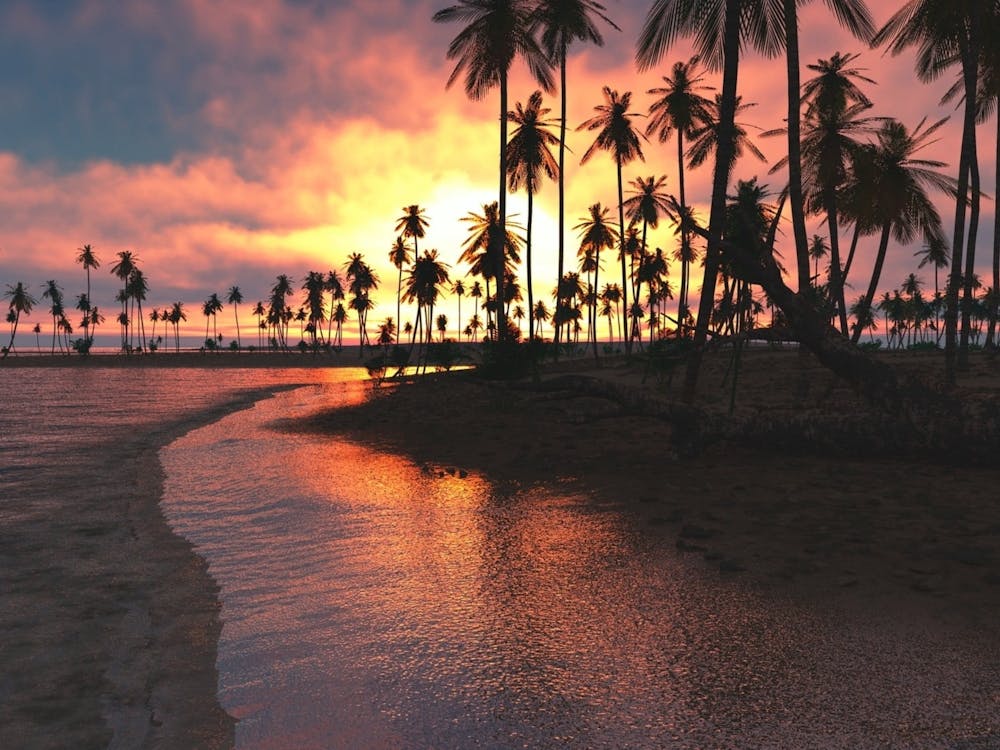 Sunset At The Beach 5