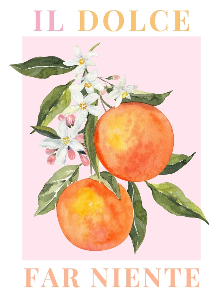 Il Dolce Far Niente, Fruit Print, Orange Poster